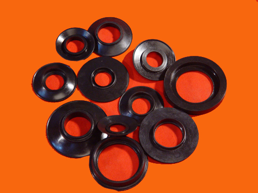 check valve